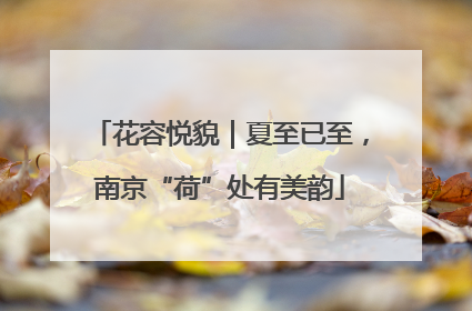 花容悦貌｜夏至已至，南京“荷”处有美韵