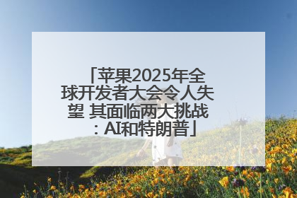 苹果2025年全球开发者大会令人失望 其面临两大挑战：AI和特朗普