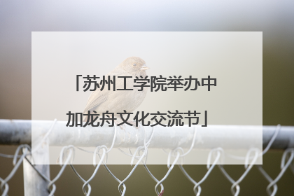 苏州工学院举办中加龙舟文化交流节