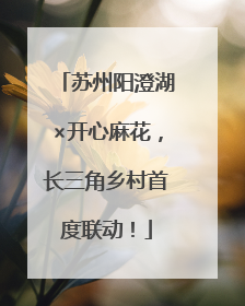 苏州阳澄湖×开心麻花，长三角乡村首度联动！