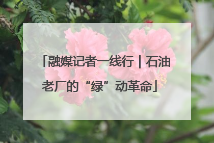 融媒记者一线行｜石油老厂的“绿”动革命