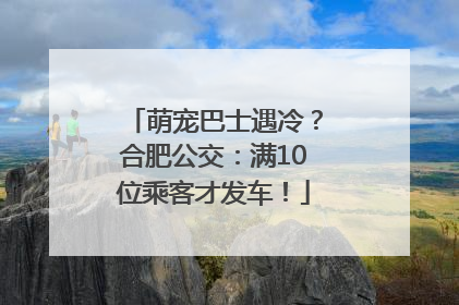 萌宠巴士遇冷？合肥公交：满10位乘客才发车！