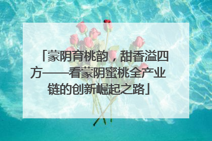 蒙阴育桃韵，甜香溢四方——看蒙阴蜜桃全产业链的创新崛起之路