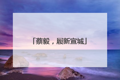蔡毅，履新宣城