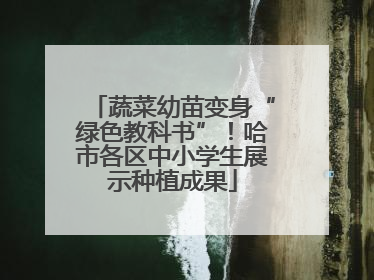 蔬菜幼苗变身“绿色教科书”！哈市各区中小学生展示种植成果