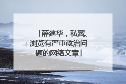 薛建华，私藏、浏览有严重政治问题的网络文章