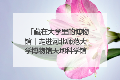 藏在大学里的博物馆｜走进河北师范大学博物馆天地科学馆：在校园里赴一场“宇宙之约”