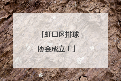 虹口区排球协会成立！