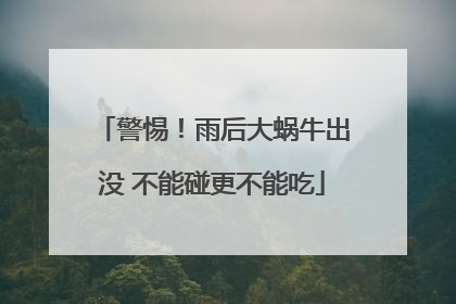 警惕！雨后大蜗牛出没 不能碰更不能吃