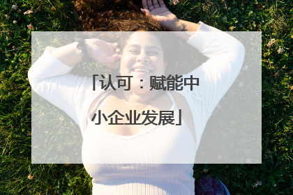 认可：赋能中小企业发展