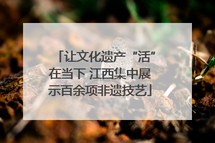 让文化遗产“活”在当下 江西集中展示百余项非遗技艺