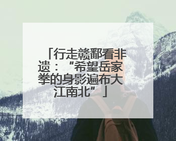 行走赣鄱看非遗：“希望岳家拳的身影遍布大江南北”