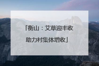 衡山：艾草迎丰收 助力村集体增收