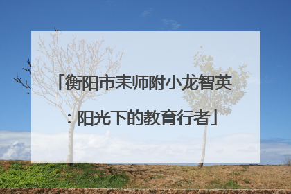 衡阳市耒师附小龙智英：阳光下的教育行者