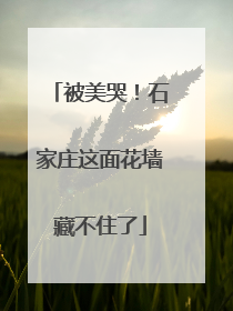 被美哭！石家庄这面花墙藏不住了