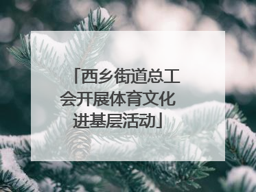 西乡街道总工会开展体育文化进基层活动