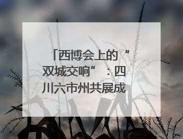 西博会上的“双城交响”：四川六市州共展成渝协同发展画卷｜西博视界