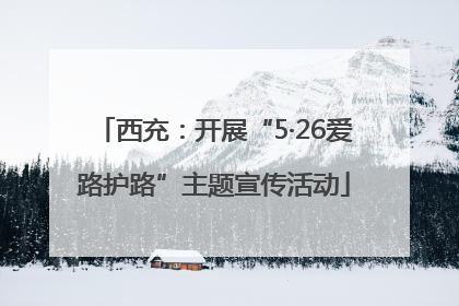 西充：开展“5·26爱路护路”主题宣传活动