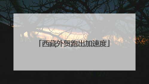 西藏外贸跑出加速度