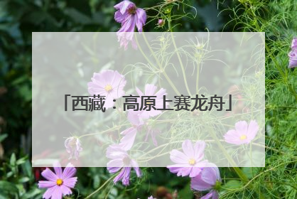 西藏：高原上赛龙舟