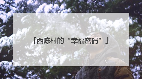 西陈村的“幸福密码”