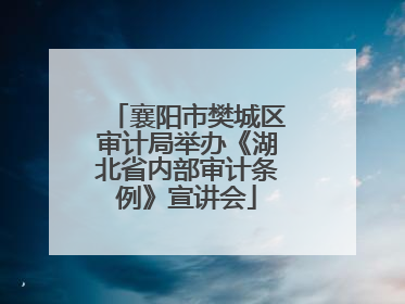 襄阳市樊城区审计局举办《湖北省内部审计条例》宣讲会