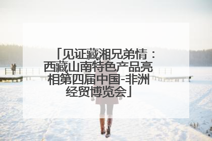 见证藏湘兄弟情：西藏山南特色产品亮相第四届中国-非洲经贸博览会