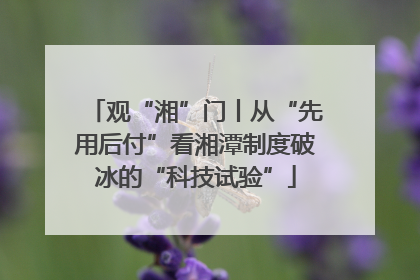 观“湘”门丨从“先用后付”看湘潭制度破冰的“科技试验”