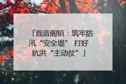 观音阁镇：筑牢防汛“安全堤” 打好抗洪“主动仗”