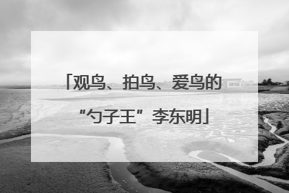 观鸟、拍鸟、爱鸟的“勺子王”李东明