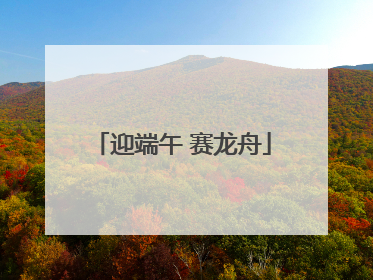 迎端午 赛龙舟
