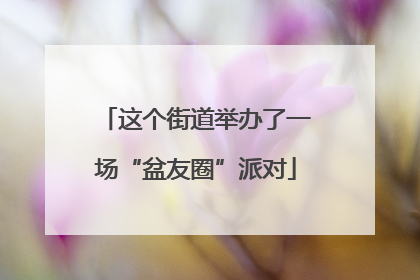 这个街道举办了一场“盆友圈”派对