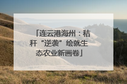 连云港海州：秸秆“逆袭”绘就生态农业新画卷