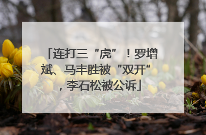 连打三“虎”！罗增斌、马丰胜被“双开”，李石松被公诉