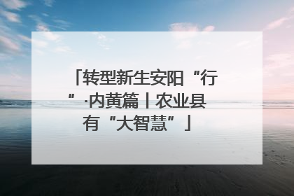转型新生安阳“行”·内黄篇丨农业县有“大智慧”