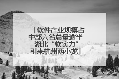 软件产业规模占中部六省总量逾半 湖北“软实力”引来杭州两小龙