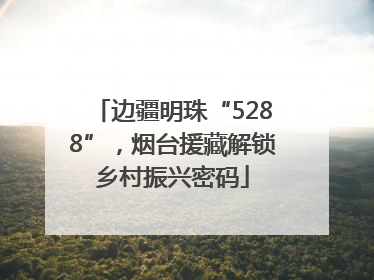 边疆明珠“5288”，烟台援藏解锁乡村振兴密码