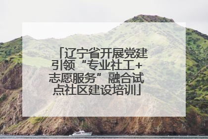 辽宁省开展党建引领“专业社工+志愿服务”融合试点社区建设培训