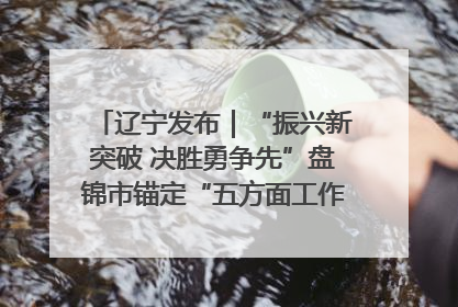 辽宁发布｜“振兴新突破 决胜勇争先”盘锦市锚定“五方面工作”力争全年地区生产总值增长5.5%左右