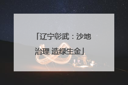 辽宁彰武：沙地治理 造绿生金