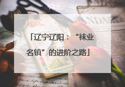 辽宁辽阳：“袜业名镇”的进阶之路