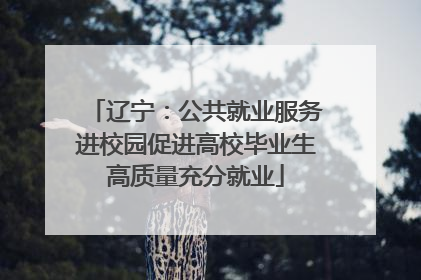 辽宁：公共就业服务进校园促进高校毕业生高质量充分就业