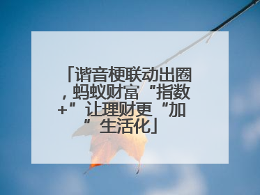 谐音梗联动出圈，蚂蚁财富“指数+”让理财更“加”生活化