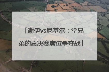 谢伊vs尼基尔：堂兄弟的总决赛席位争夺战