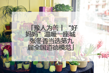 豫人为善丨“好妈妈”温暖一座城 张冬香当选第九届全国道德模范
