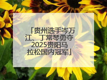 贵州选手岑万江、丁常琴勇夺2025贵阳马拉松国内冠军