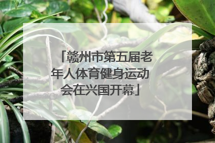 赣州市第五届老年人体育健身运动会在兴国开幕