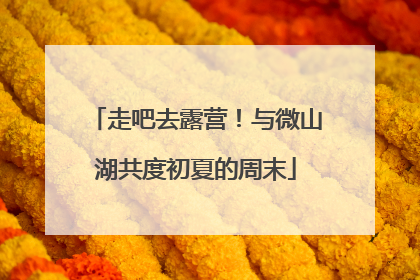 走吧去露营！与微山湖共度初夏的周末