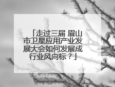 走过三届 眉山市卫星应用产业发展大会如何发展成行业风向标？