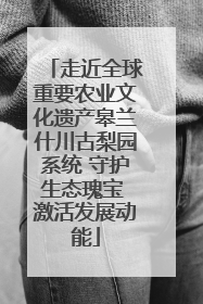 走近全球重要农业文化遗产皋兰什川古梨园系统 守护生态瑰宝 激活发展动能